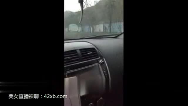 車震