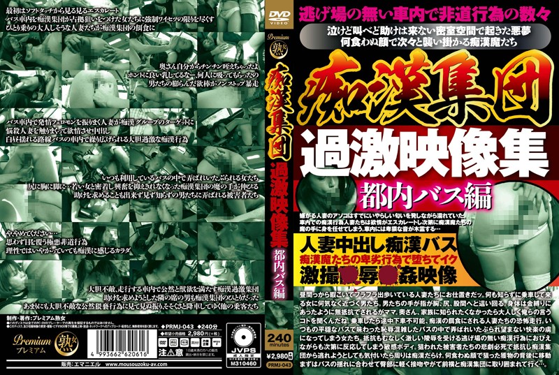 [第二集]痴汉集団 过激映像集 都内ス编！